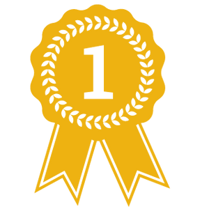 4.7 Stars On Google - Over 700+ Reviews