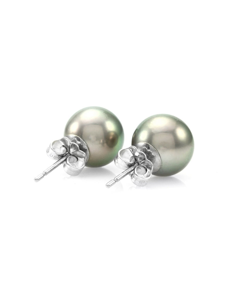 Tahitian Pearl Stud Earrings in Gold