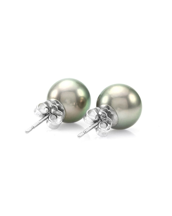 Tahitian Pearl Stud Earrings in Gold