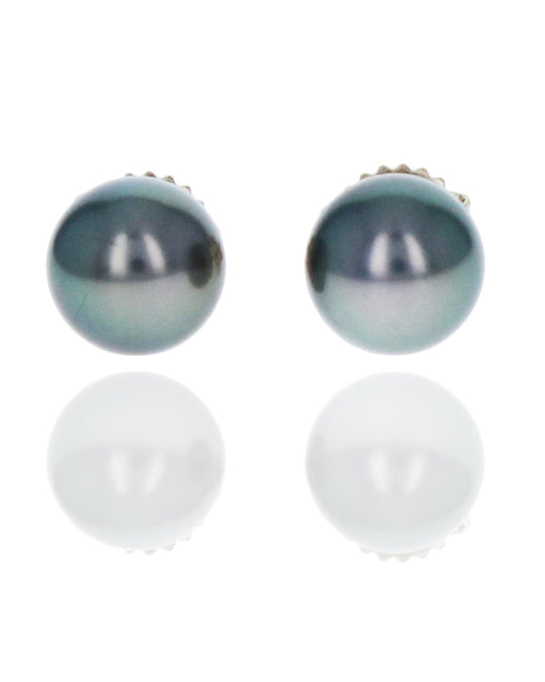 Black Tahitian Pearl Stud Earrings