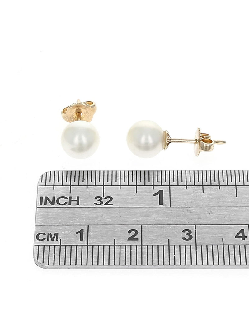 White Freshwater Pearl Studs in Yellow Gold