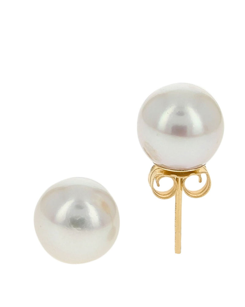 White Freshwater Pearl Studs in Yellow Gold