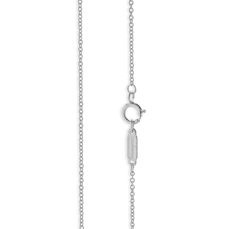 Tiffany & Co. Platinum Diamond Solitaire Necklace