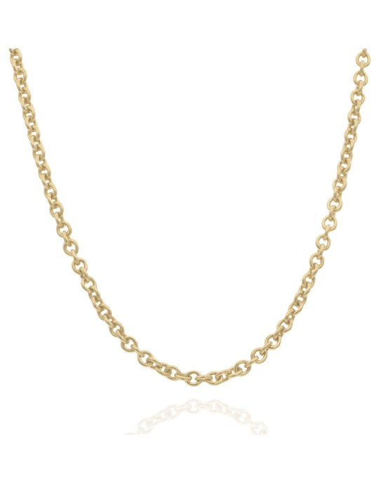 Rolo Link Chain Necklace