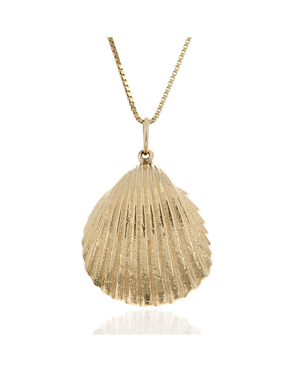 Seashell Pendant on Box Chain Necklace