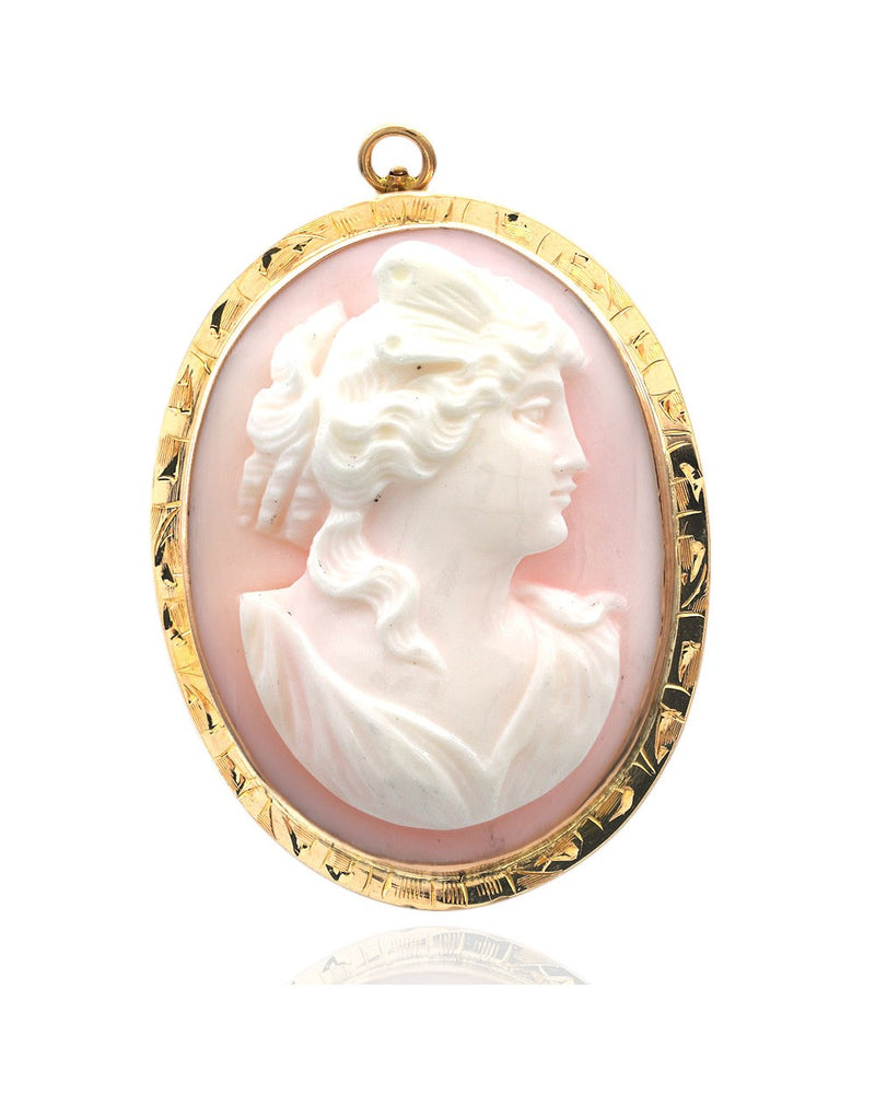 Pink Shell Cameo Pin in Gold