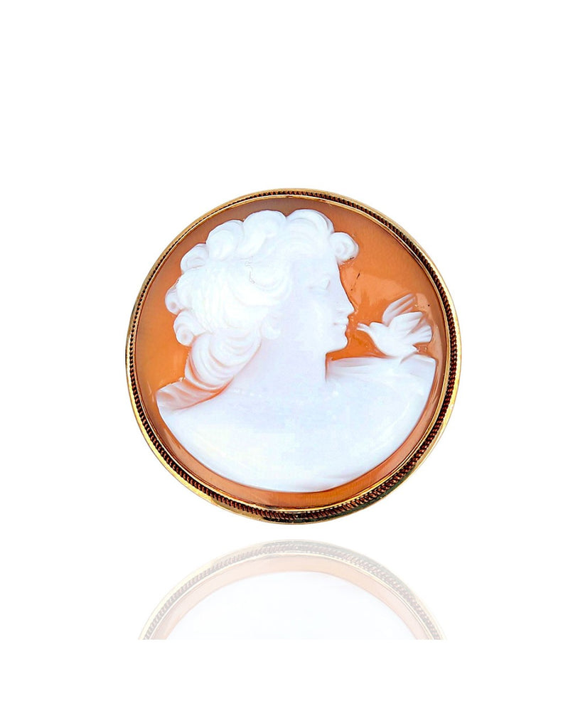 Vintage Brown Shell Lady with Bird Cameo Pin