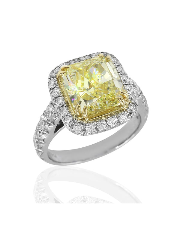 Yellow Diamond Solitaire Halo Ring in Platinum and Gold