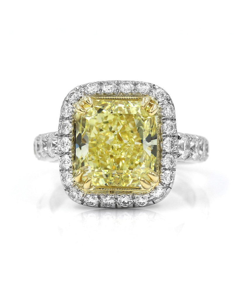 Yellow Diamond Solitaire Halo Ring in Platinum and Gold